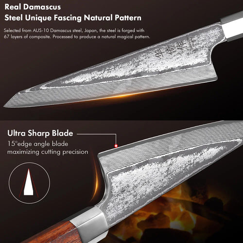 6" Honesuki Boning Knife — Damascus Steel